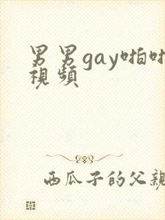 男男gay啪啪视频