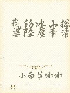 我的冰山总裁老婆陆尘李清瑶封面