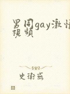 男同gay激情视频