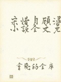 宋惜月顾浔渊的小说全文免费阅读封面