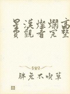 星汉灿烂高清免费观看完整版星辰