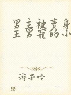 男主被卖身做女主男宠的小说