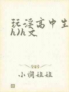 玩淫高中生(高h)h文