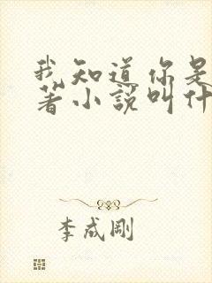 我知道你是谁原著小说叫什么名字