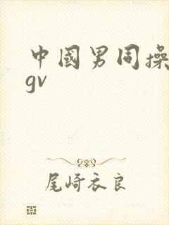 中国男同操亚洲gv封面