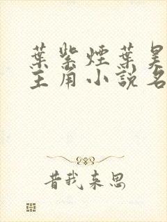 叶紫烟叶昊的女主角小说名字封面
