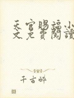 天官赐福小说全文免费阅读未删减无弹窗txt