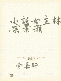 小说女主林辛言,宗景灏
