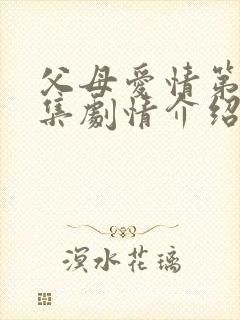 父母爱情第20集剧情介绍