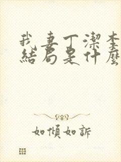 我妻丁洁李静大结局是什么