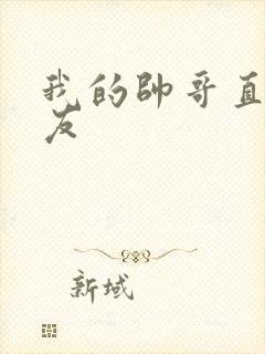 我的帅哥直男室友封面