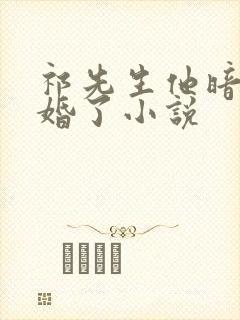 祁先生他暗恋成婚了小说封面