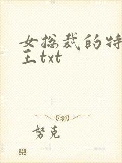女总裁的特战兵王txt