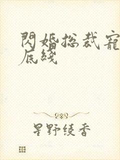 闪婚总裁宠妻无底线