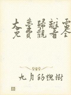 大梦归离电视剧免费观看全集在线