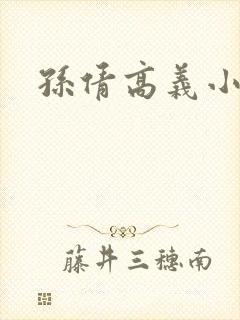 孙倩高义小说