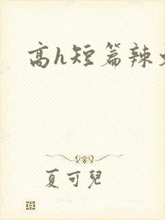 高h短篇辣文