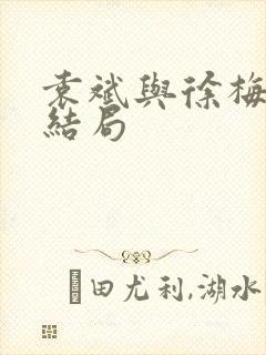 袁斌与徐梅最后结局封面
