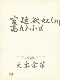 宫廷欲奴(np高h)小d