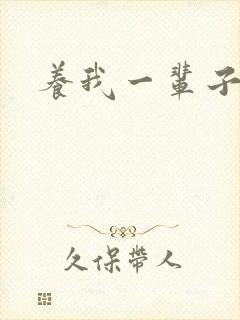 养我一辈子封面