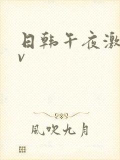 日韩午夜激情av