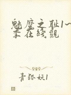 魅魔之耻1~4季在线观