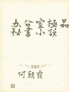 办公室极品丝袜秘书小说