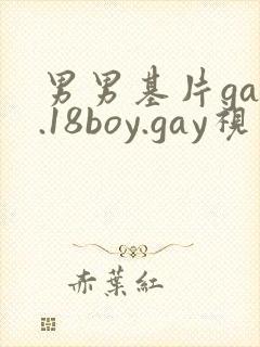 男男基片gay.18boy.gay视频