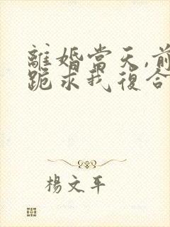离婚当天,前夫跪求我复合