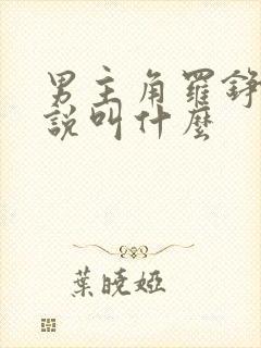 男主角罗铮的小说叫什么
