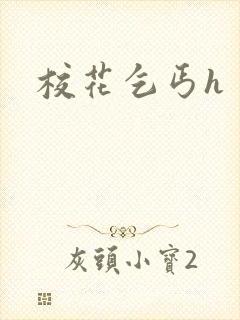 校花乞丐h