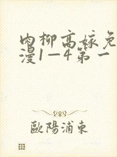 肉柳高嫁免费动漫1—4第一季