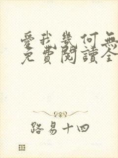爱我几何无删减免费阅读全文封面