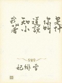 我知道你是谁原著小说叫什么名字