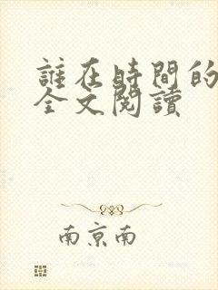 谁在时间的彼岸全文阅读