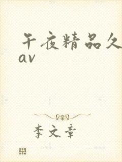 午夜精品久久久av