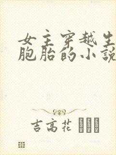 女主穿越生了三胞胎的小说