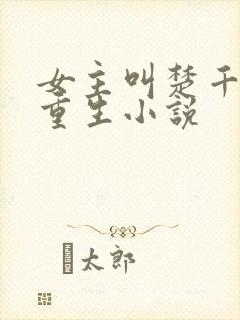 女主叫楚千尘的重生小说