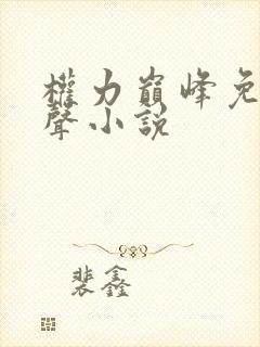 权力巅峰免费有声小说
