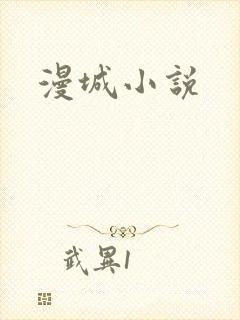 漫城小说