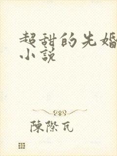 超甜的先婚后爱小说