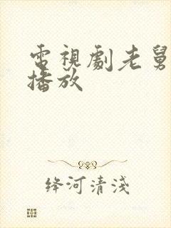 电视剧老舅免费播放封面