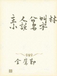 主人公叫林天的小说名字