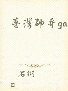 台湾帅哥gay