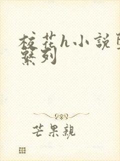 校花h小说堕落系列