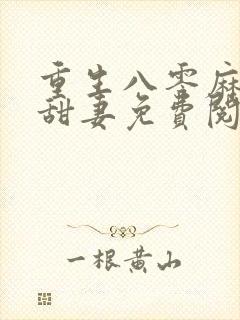重生八零麻辣小甜妻免费阅读封面
