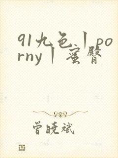 91九色丨porny丨蜜臀