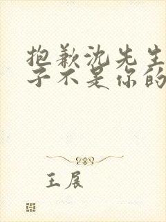 抱歉沈先生,孩子不是你的短剧资源