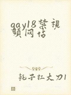 gay18禁视频网站