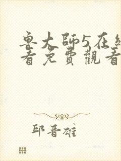 鲁大师5在线观看免费观看电视剧